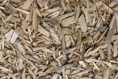 biomass boilers Smeatharpe